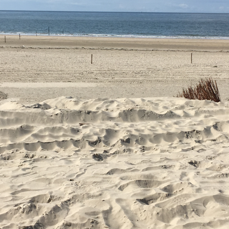 Zand